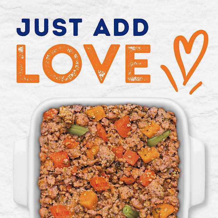 Savory Duck & Pumpkin Recipe Wet Dog Food X482