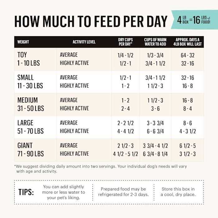 Dehydrated Grain Free Beef Dog Food X651823
