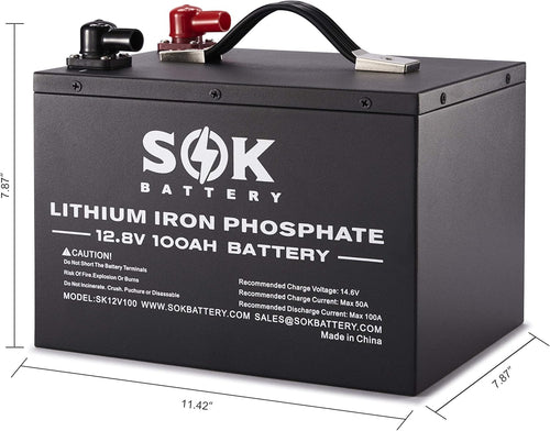 100Ah 12V LiFePO4 Deep Cycle Battery S9062