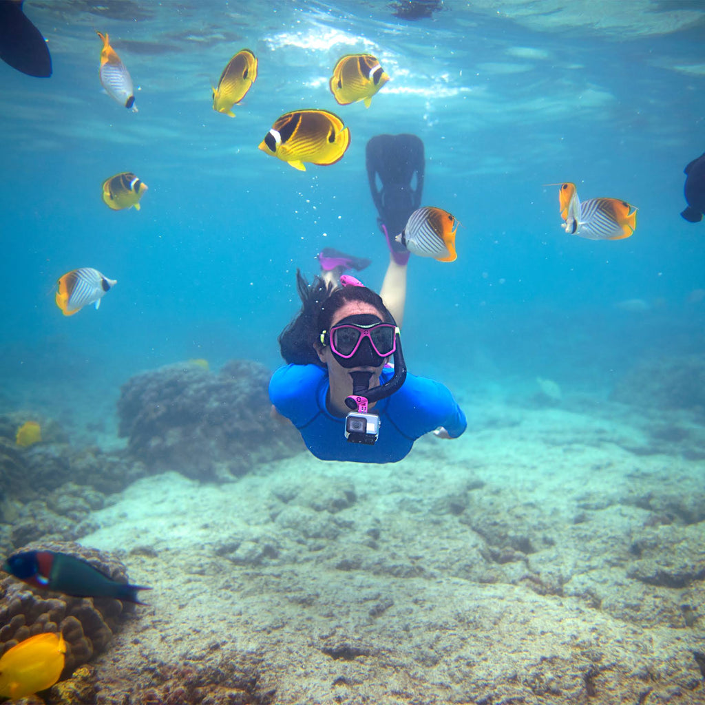 Adult Mask, Snorkel, Fins, Gear Bag Set M335465