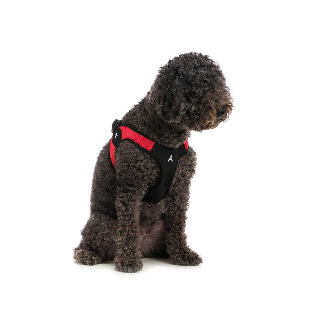 Dog Harness S4506
