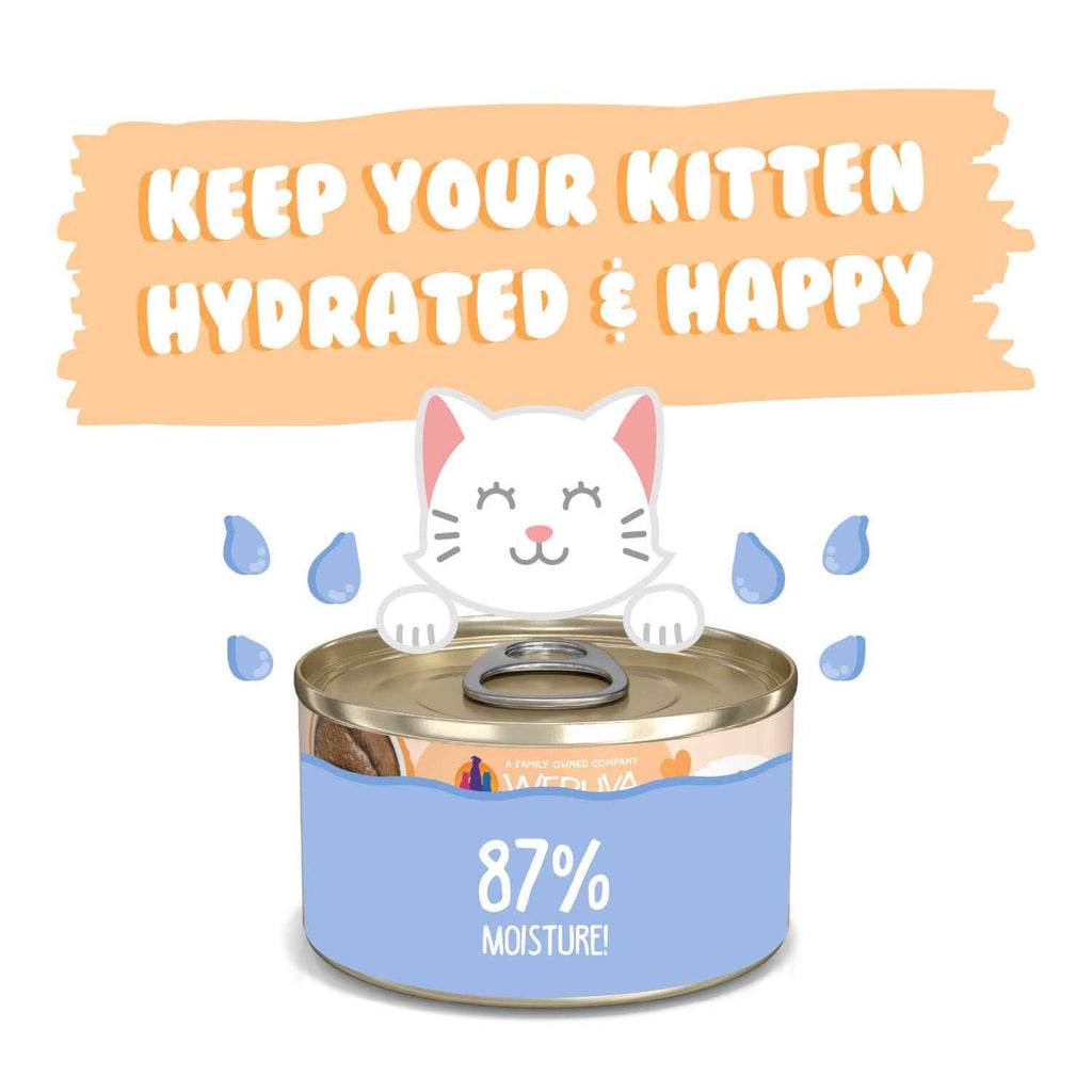 Kitten Tuna & Salmon Puree Cat Food J143