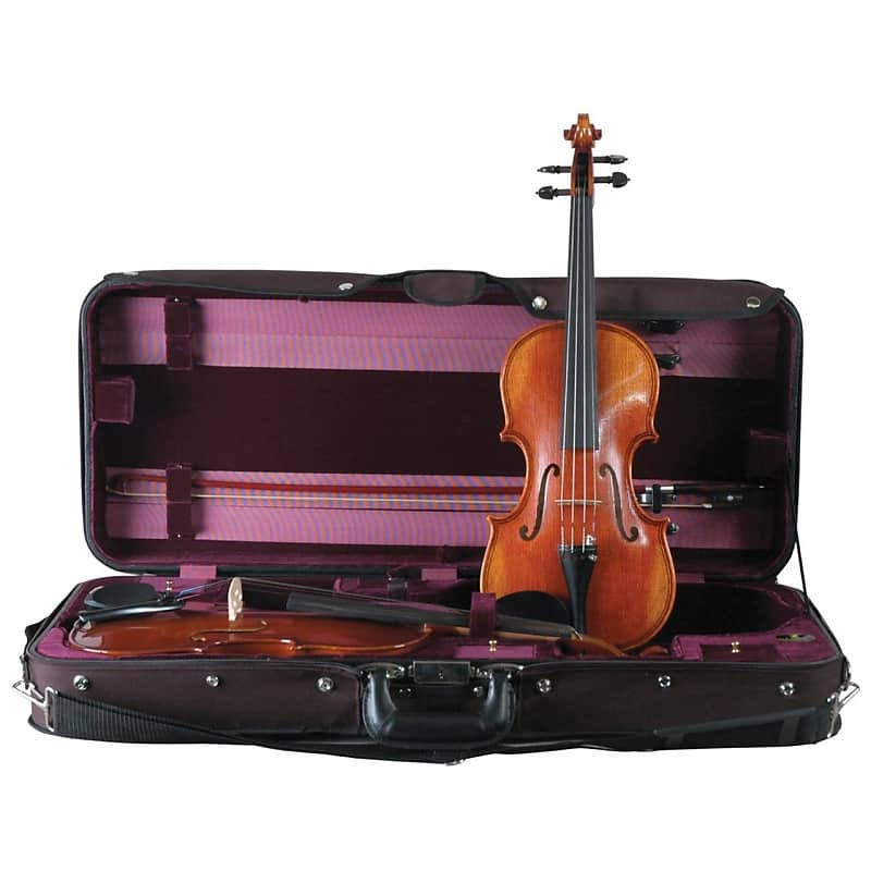 Double Violin Case C4117