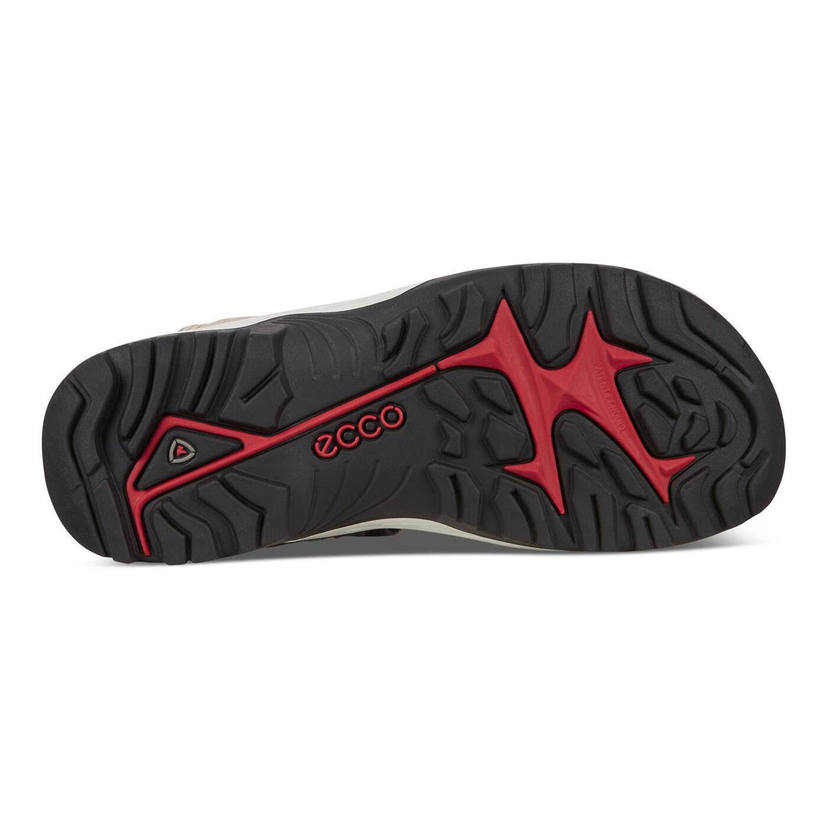Multicolor Shoes Y5233