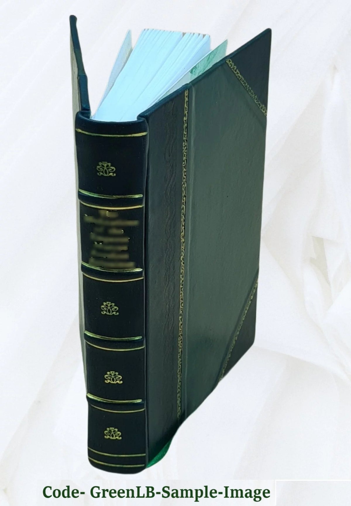 Leather Bound L695687