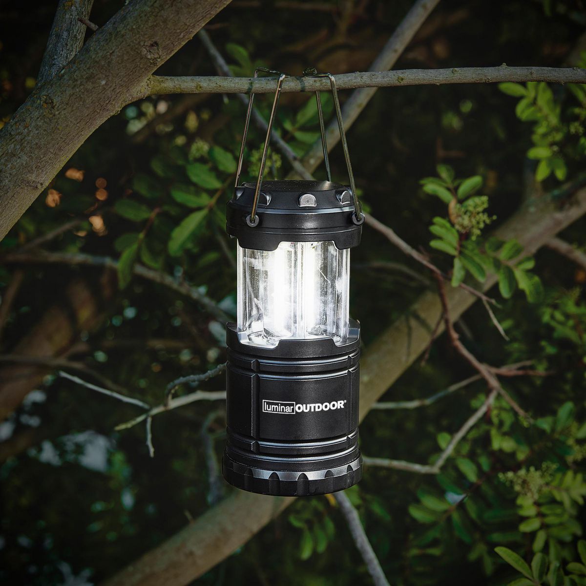 250 Lumen Pop-Up Lantern L9338