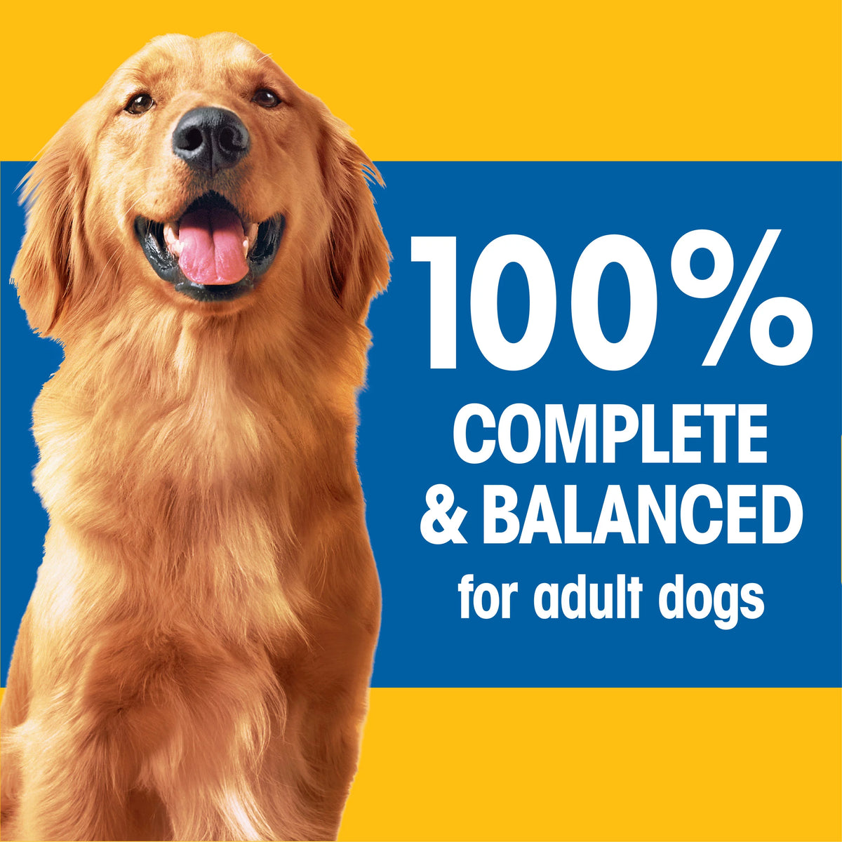 44 lb Adult Dry Dog Food Roasted Chicken Rice Vegetable Flavor Kibble G7837