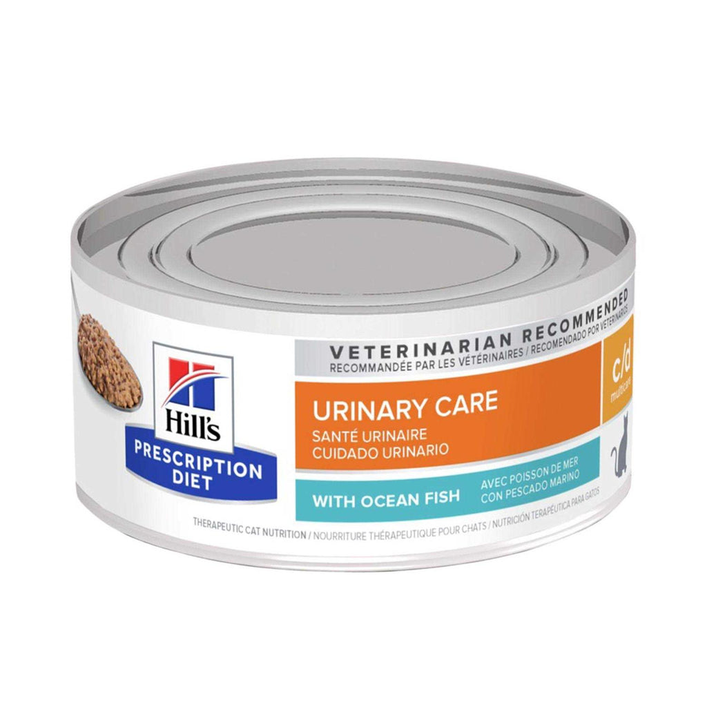 Ocean Fish Wet Cat Food R4343