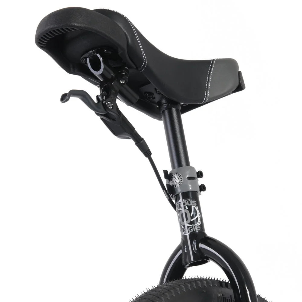 32 Black Unicycle W991