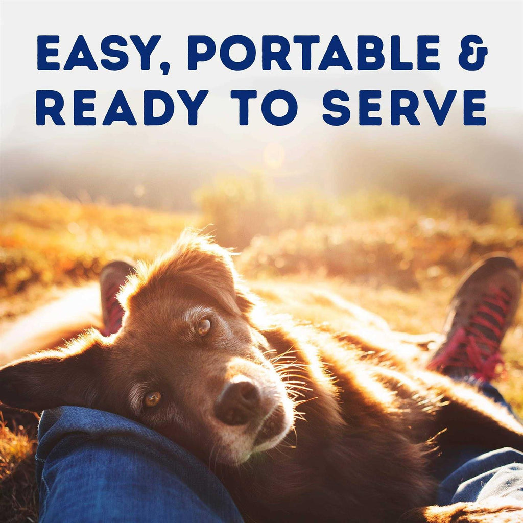 Savory Duck & Pumpkin Recipe Wet Dog Food X482
