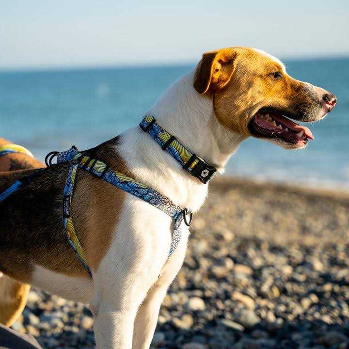 No-Pull Dog Harness V595