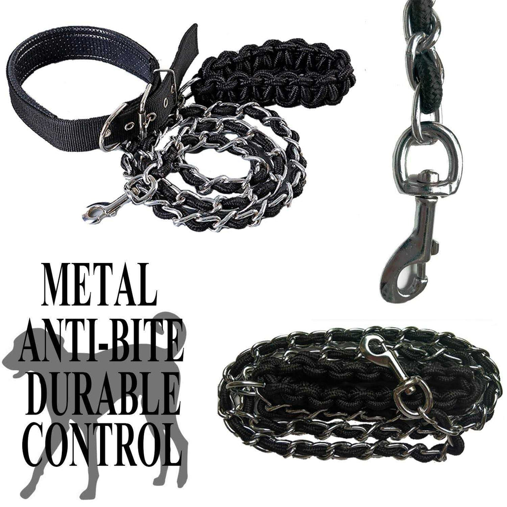 Metal Dog Leash with Collar A19438