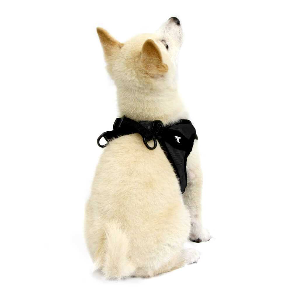 Dog Harness S4506