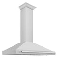 48 Inch Stainless Steel Range Hood F1231
