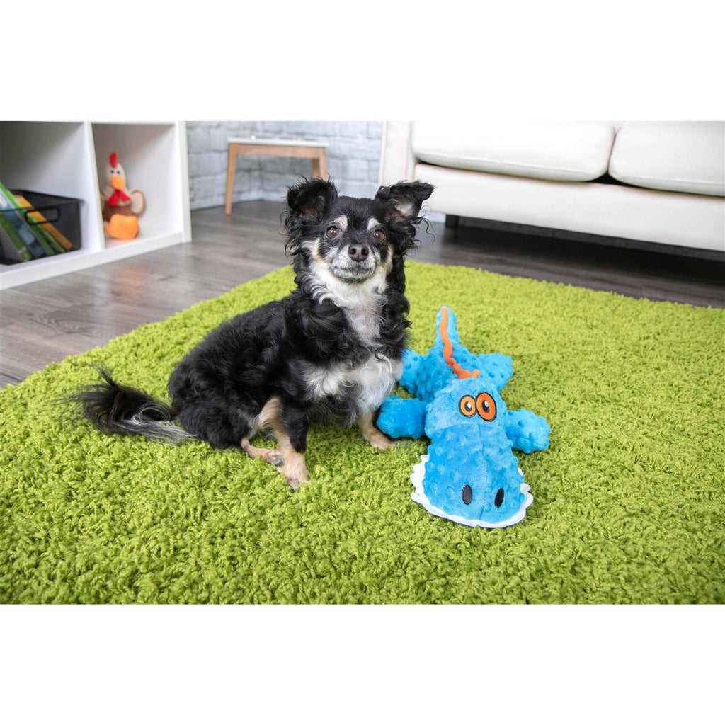 Dog Toy B65295