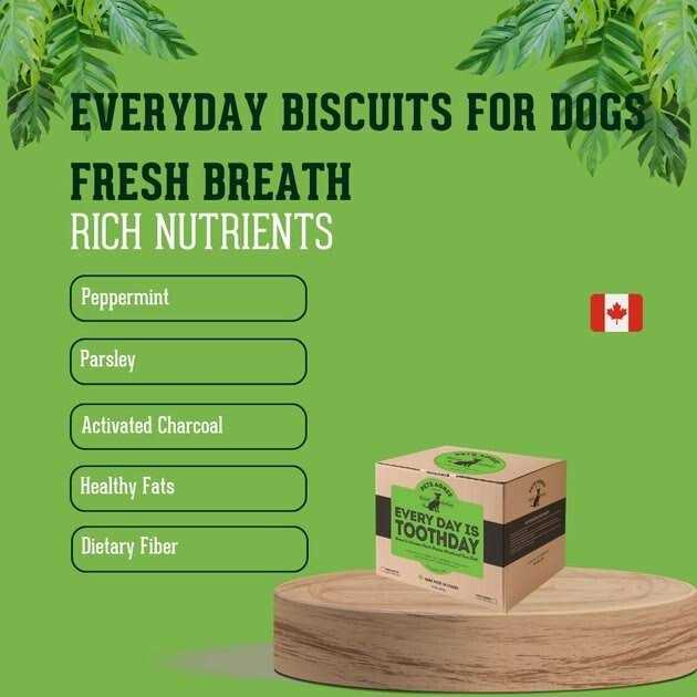 Large Crunchy Dog Treats Q30554