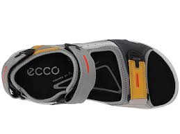 Multicolor Shoes Y5233
