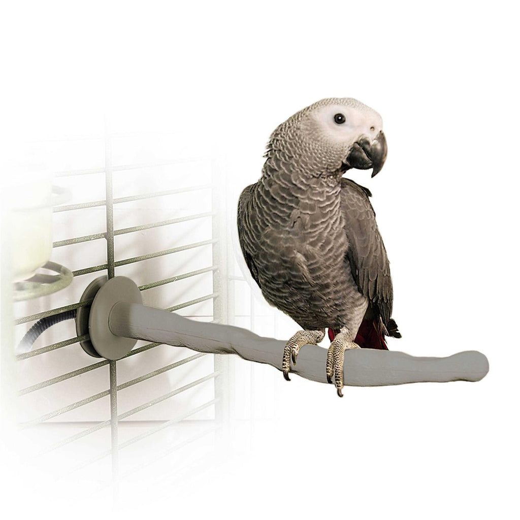 Bird Thermo-Perch R1041