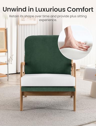 Mid Century Modern Sherpa Accent Chair with Detachable Cover U4948
