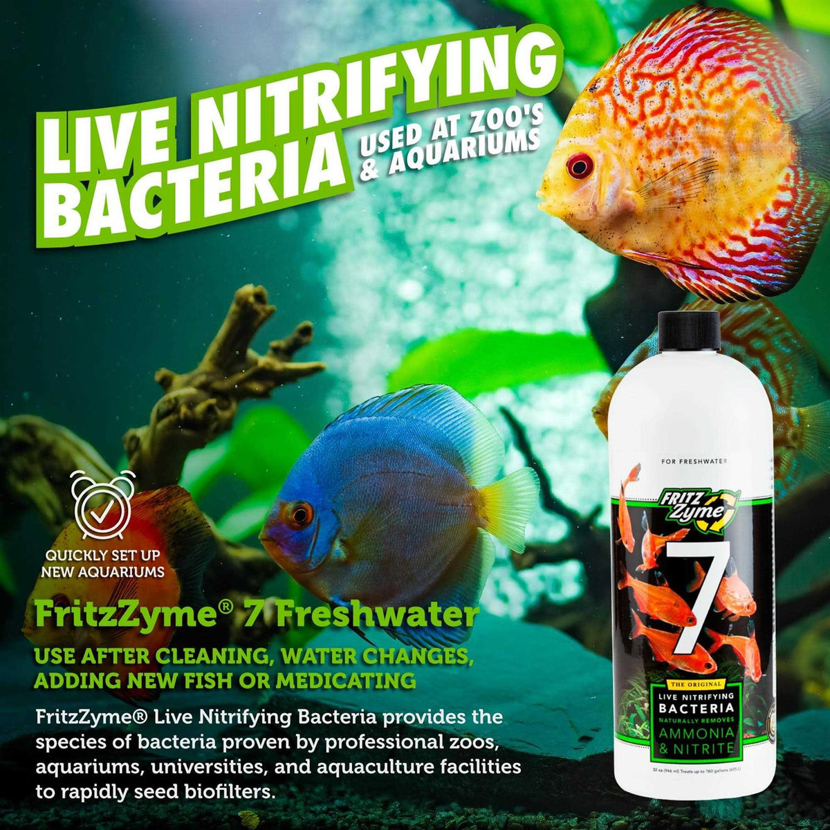 Freshwater Nitrifying Bacteria D15526