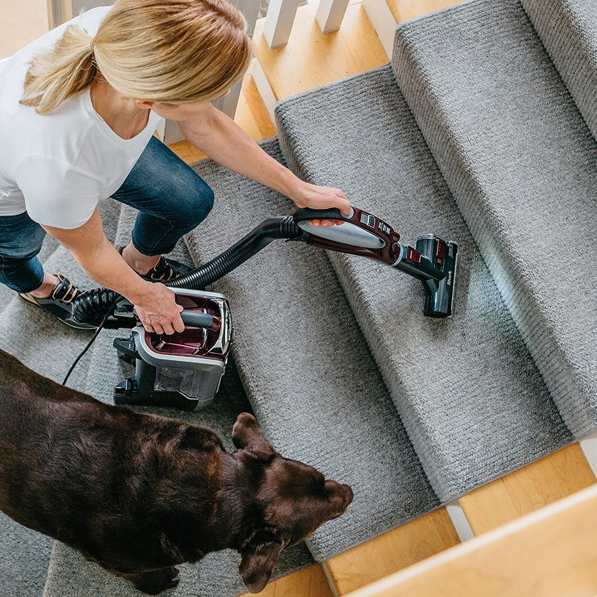 Restored Upright Vacuum with Brush Q50857