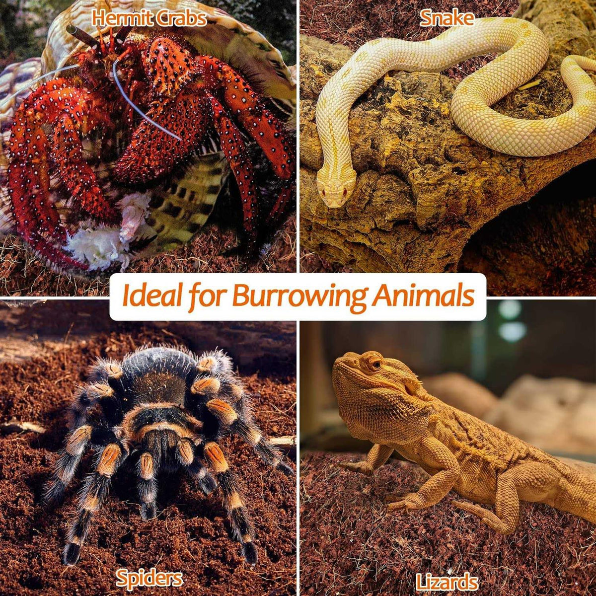 Natural Coconut Fiber Reptile Terrarium Bedding F799675