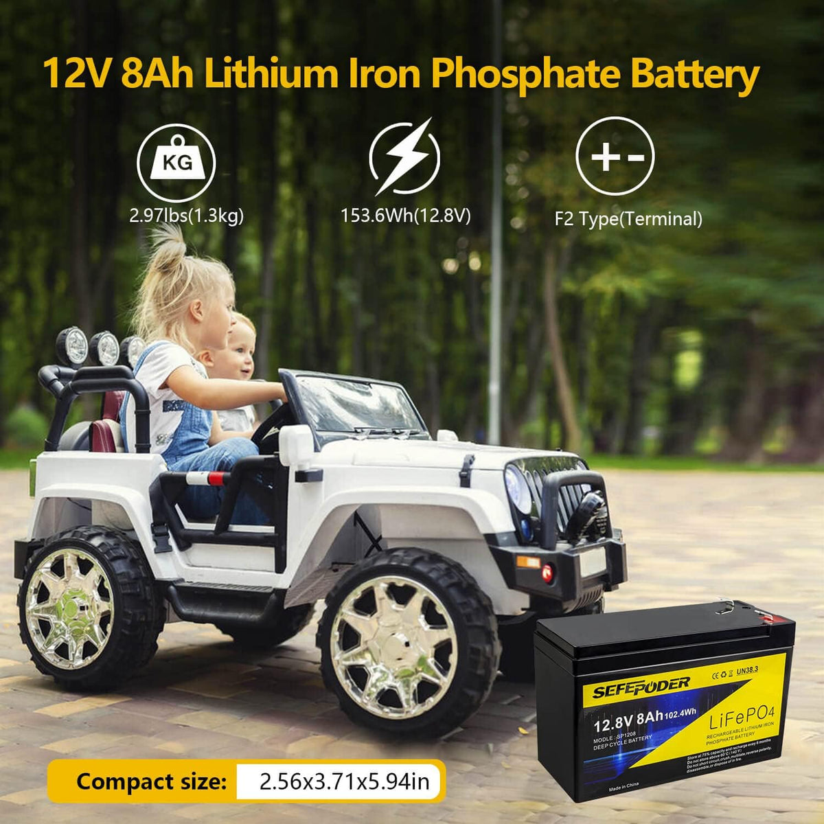 12V 8Ah Lifepo4 Lithium Ion Rechargeable Battery 2 Pack Y138