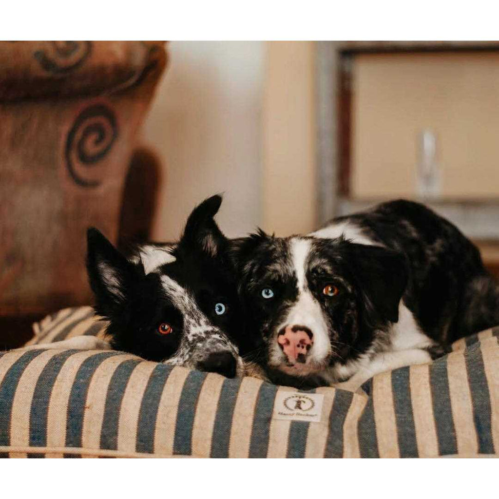 Vintage Stripe Envelope Dog Bed A401088