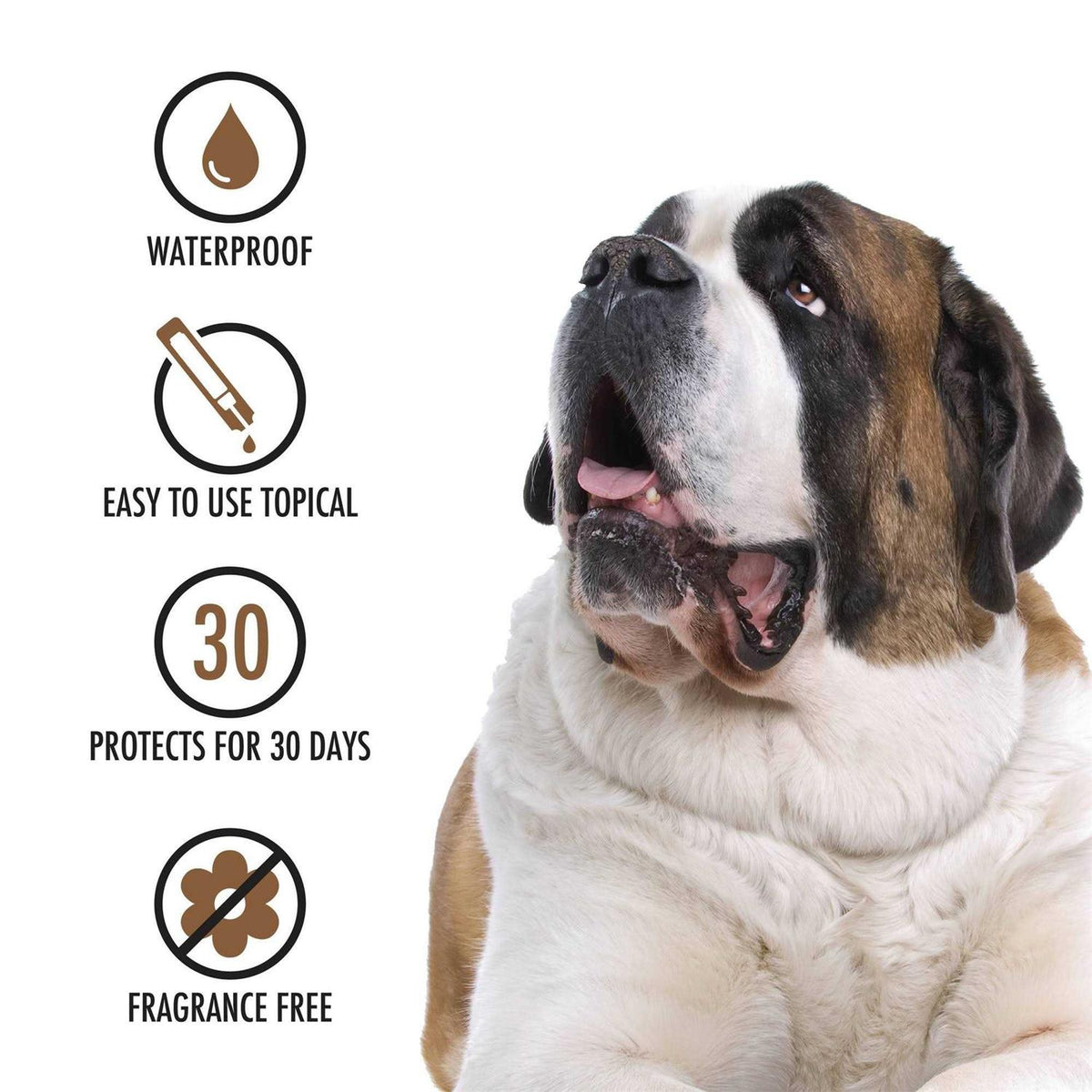 Topical Treatment for Dogs I264