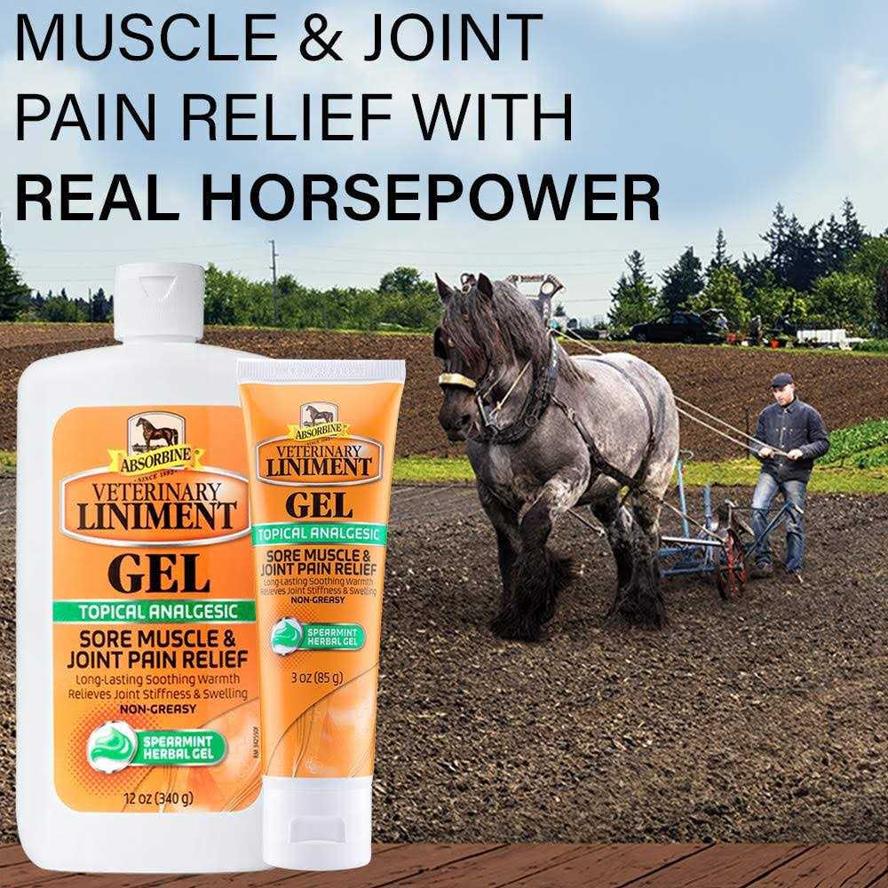 Absorbine Veterinary Liniment Gel Topical Menthol Analgesic Rub A962