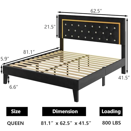 Black Upholstered Platform Bed Frame with LED Light I172