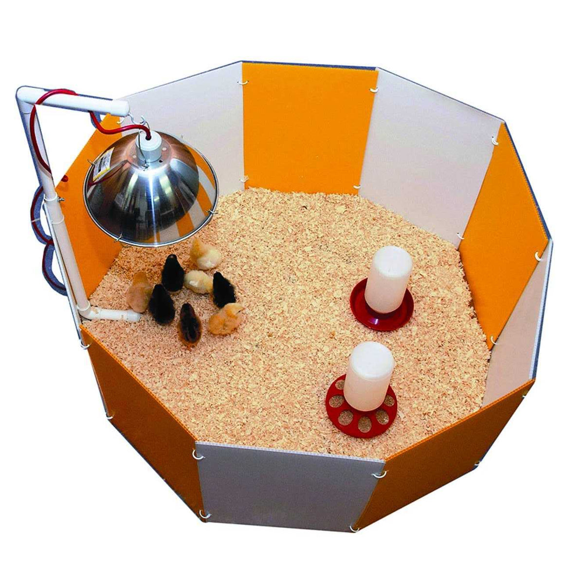 Baby Chick Starter Home T6576