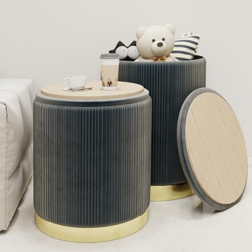 Round Storage Ottoman Set of 2 Velvet Grey H110740