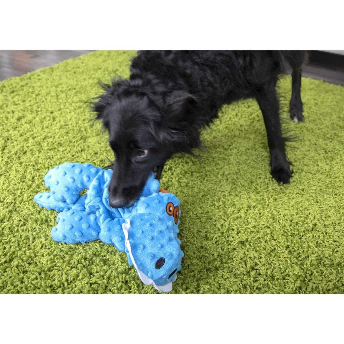 Dog Toy B65295