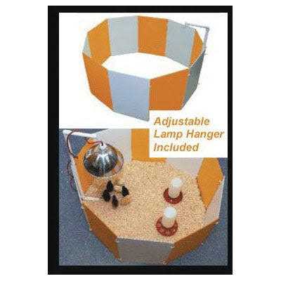 Baby Chick Starter Home T6576