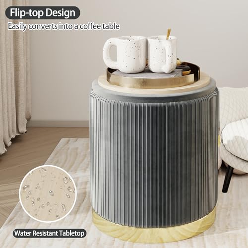 Round Storage Ottoman Set of 2 Velvet Grey H110740