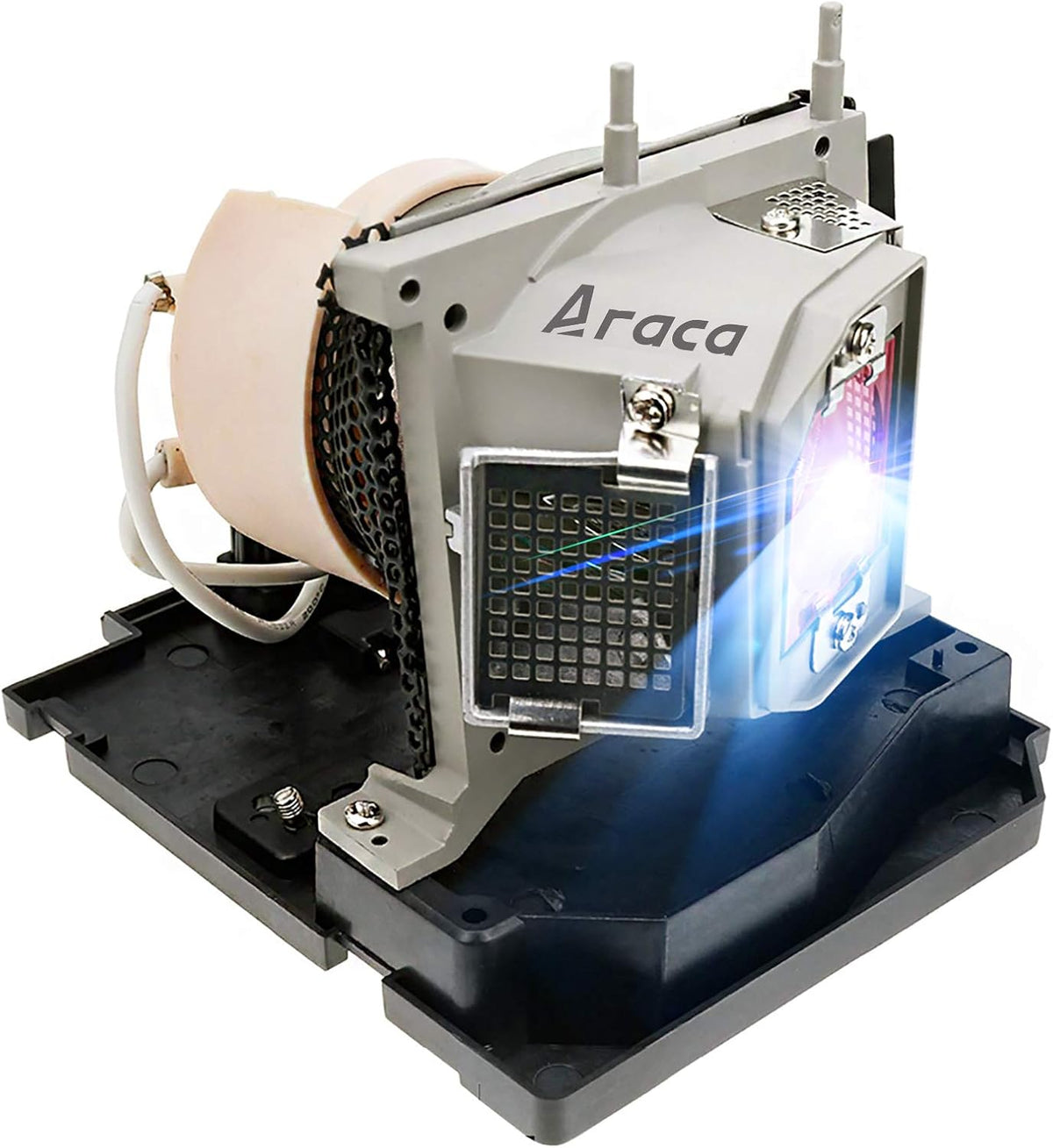 Replacement Projector Lamp with Housing T361633