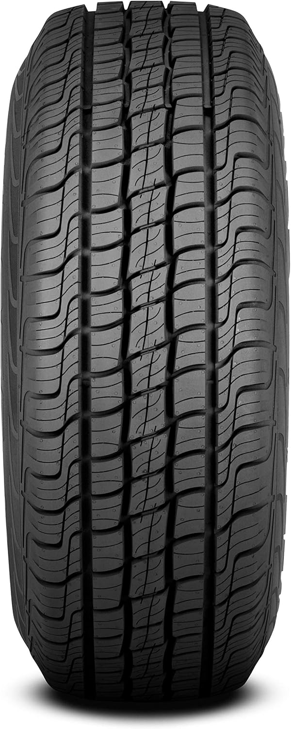 225/55R19 Tire F413