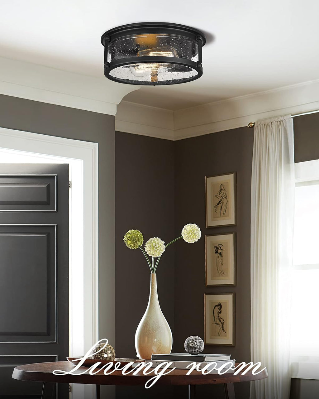 Matte Black 2-Light Metal Cage Ceiling Light Q262