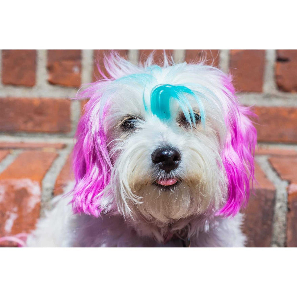 Semi Perm Coat Color Shampoo for Dogs C367