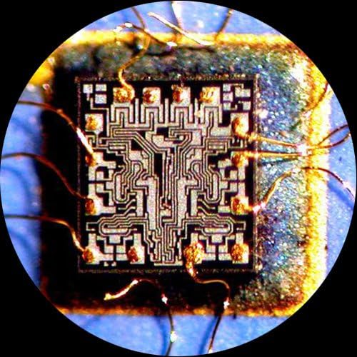 Digital Trinocular Stereo Zoom Microscope with 3MP Camera M9990