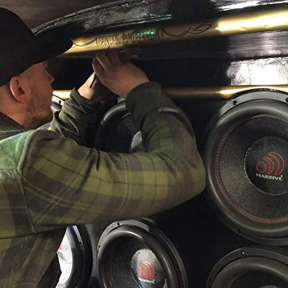 10 Inch 1400W Dual Voice Coil 2 Ohm Car Subwoofer E21460