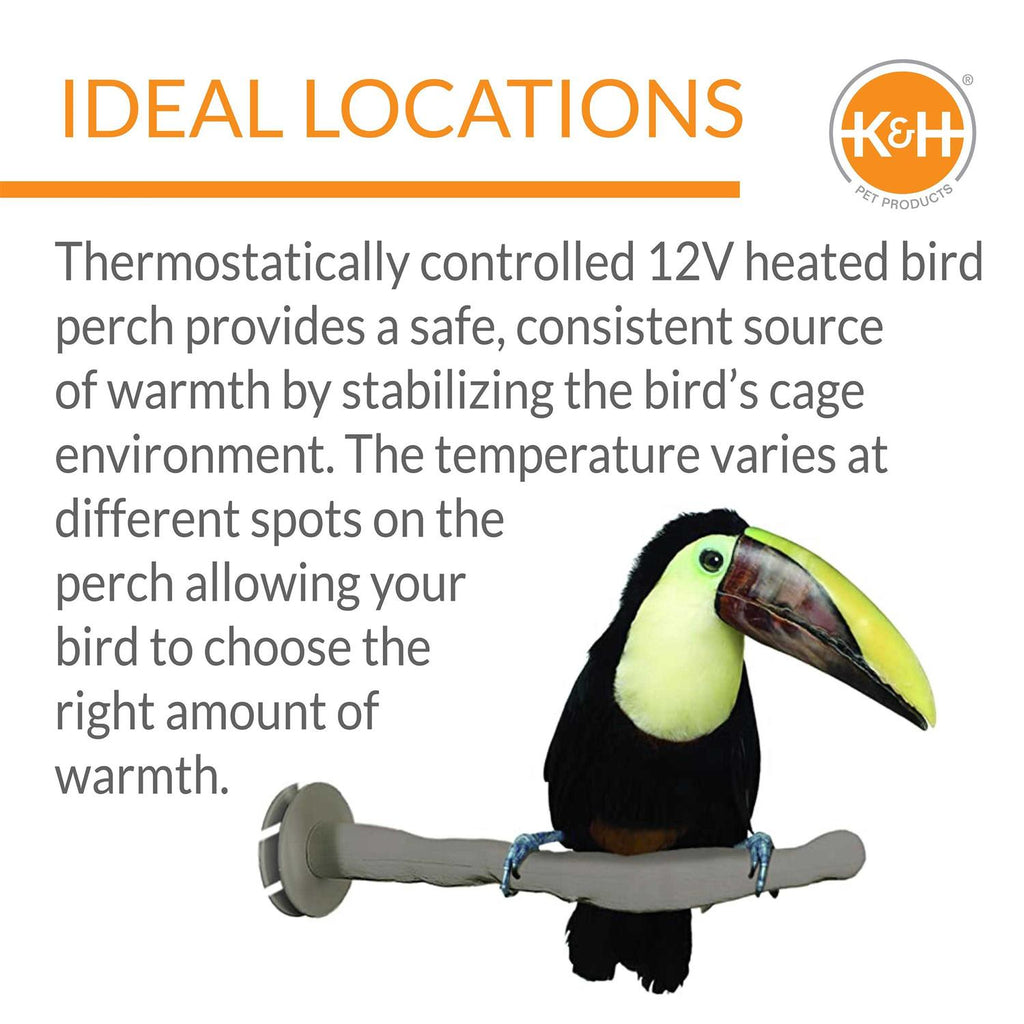 Bird Thermo-Perch R1041