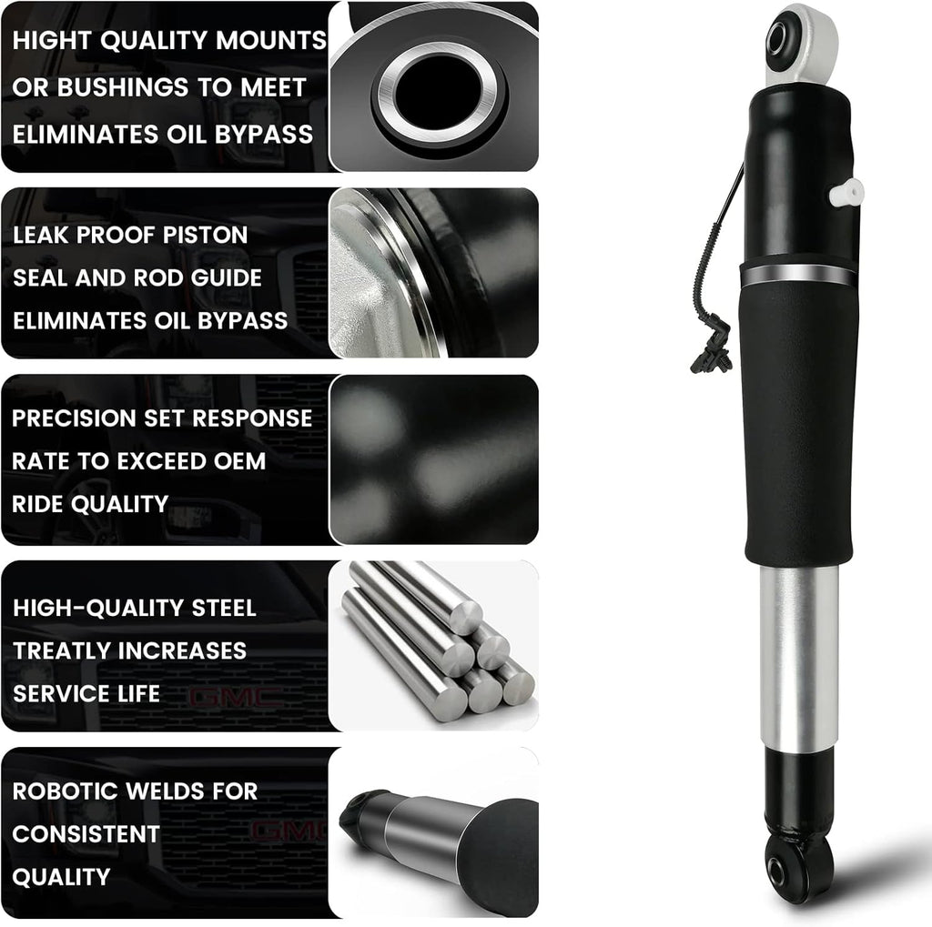 Rear Air Strut Absorber R262