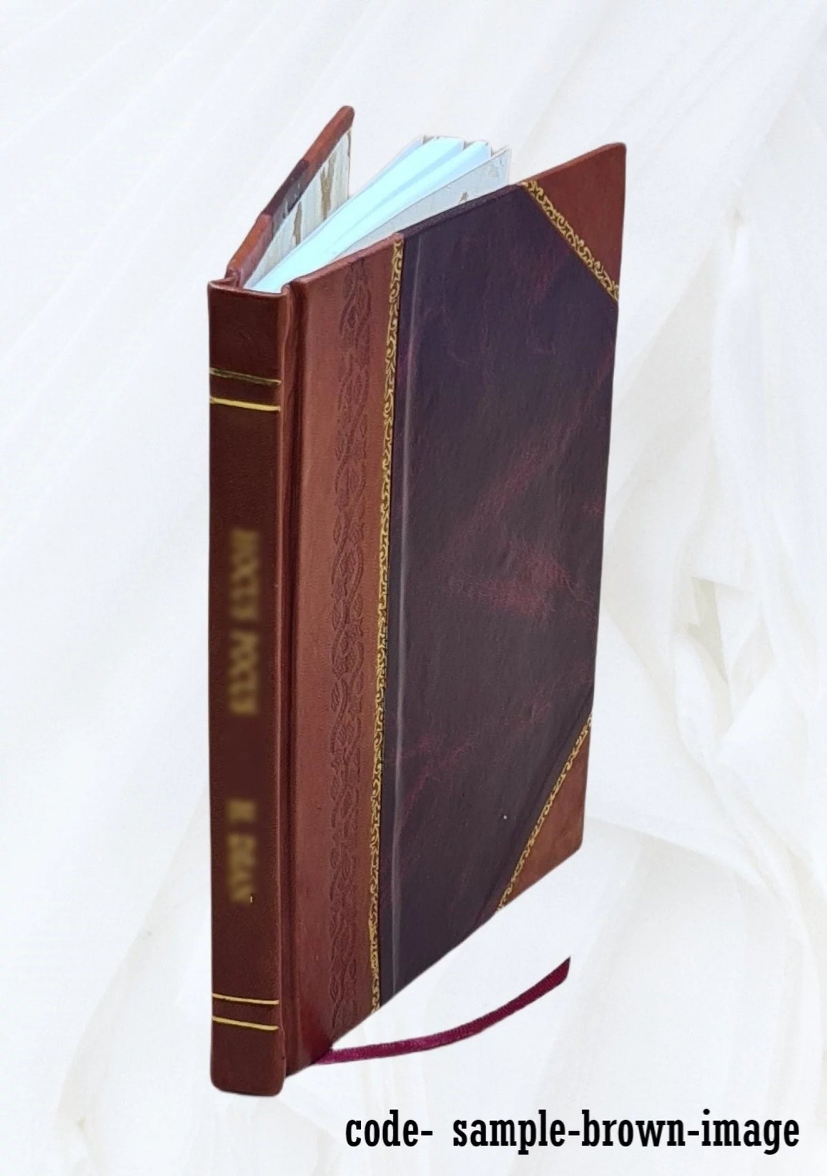 Radiometric Measurement of Uranium and Thorium by Gamma-Ray Spectrometer Leather Bound Z21083
