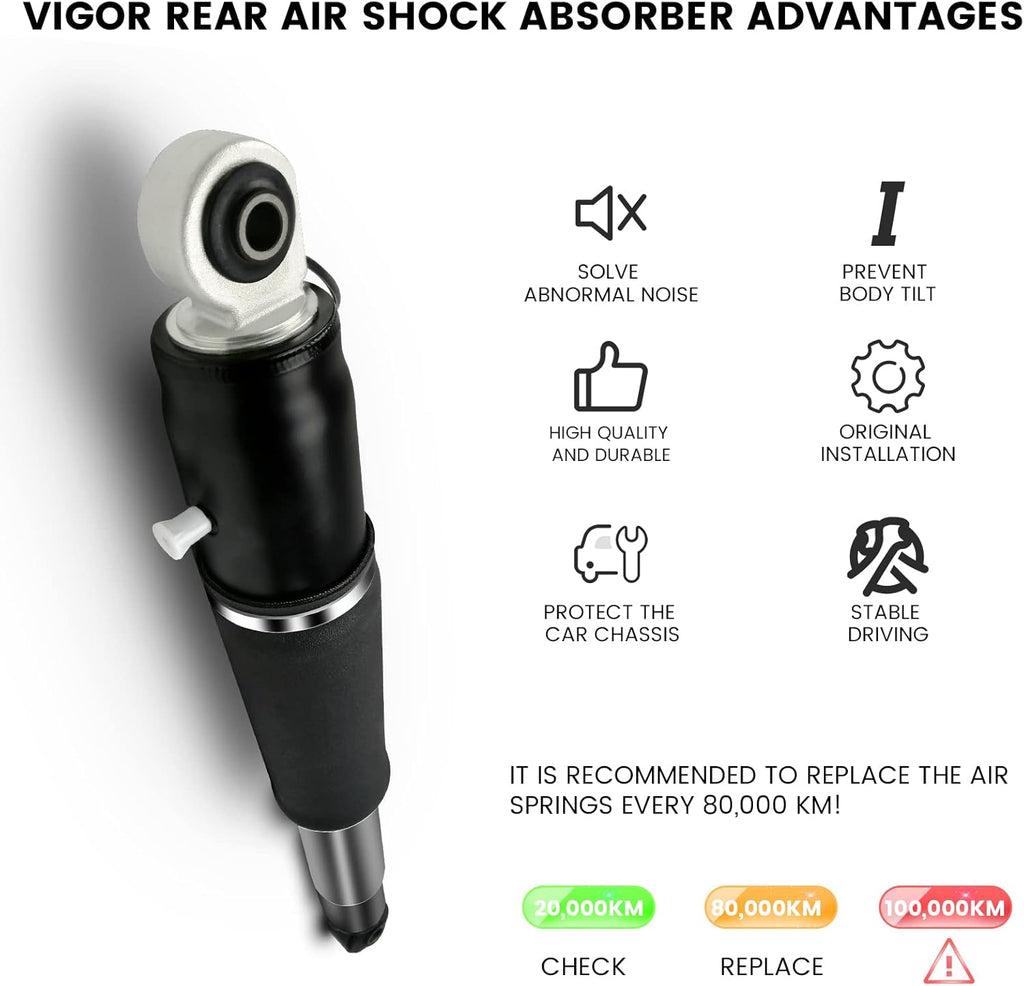 Rear Air Strut Absorber R262