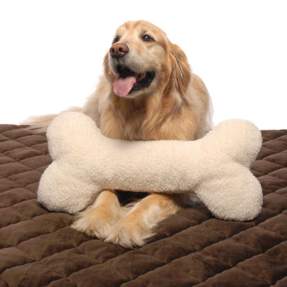Pet Bone Pillow Toy Q37048