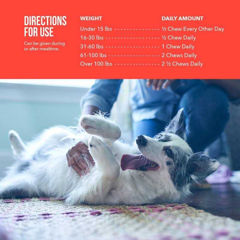 Soft Chews Joint Supplement for Dogs F253909