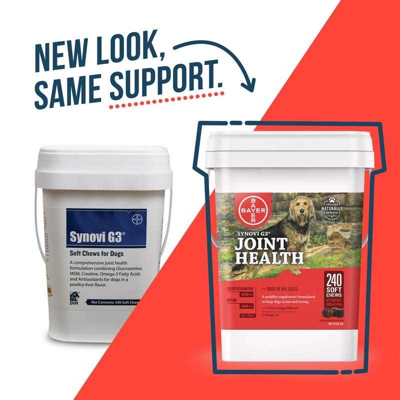 Soft Chews Joint Supplement for Dogs F253909