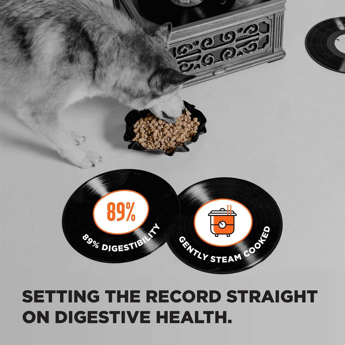 Grain Free Dry Dog Food Chicken O44468